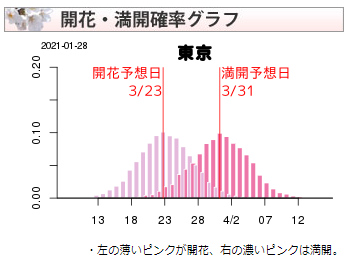 桜の開花・満開確率表示例