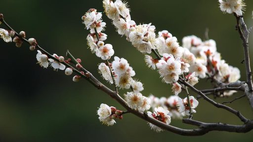 年末年始休業につきまして