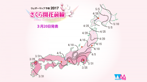 sakura_front_800x450 (1)