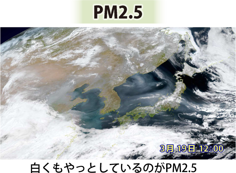 ひまわり新カラー_PM2.5