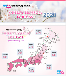 Weather Map issued its first cherry blossom forecast of the season.