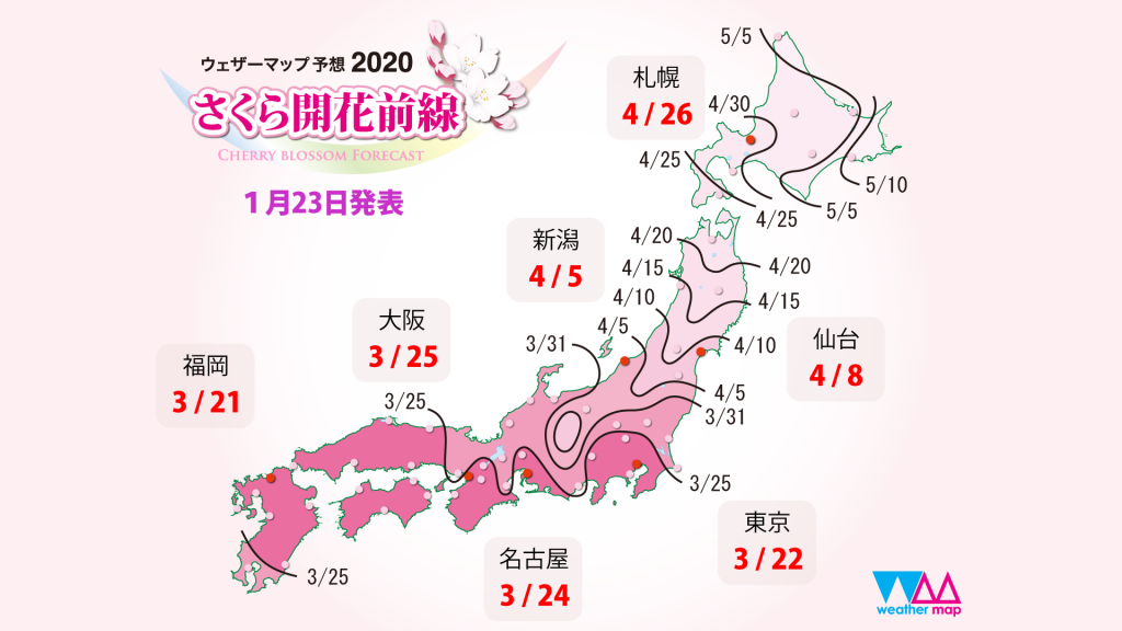 第一回ウェザーマップさくら開花予想（1月23日発表）