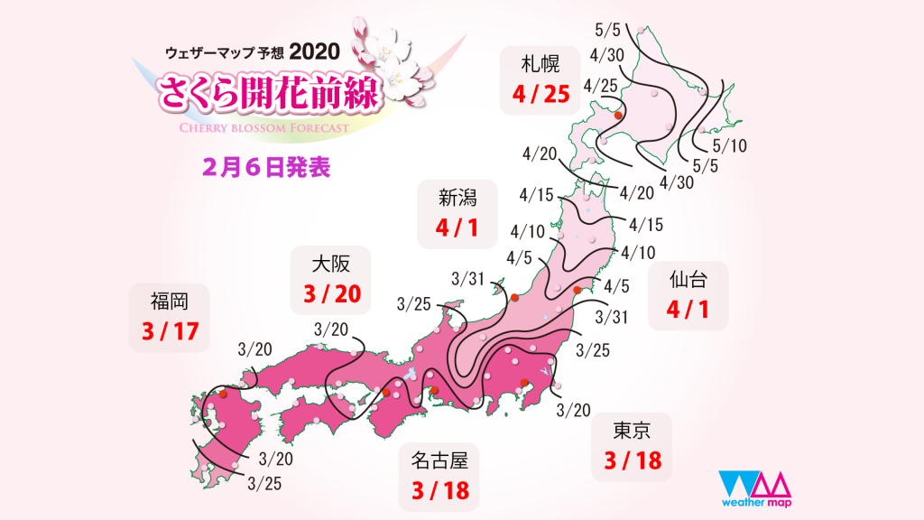 sakura_front_1920x1080_day_20200206